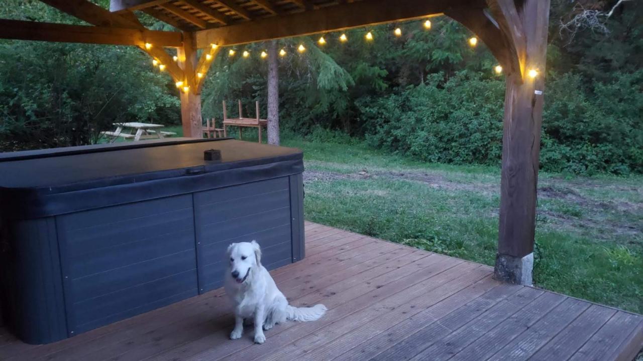 La Rossignolerie - La Familiale Vigneronne Bed & Breakfast Chouzy-sur-Cisse Dış mekan fotoğraf