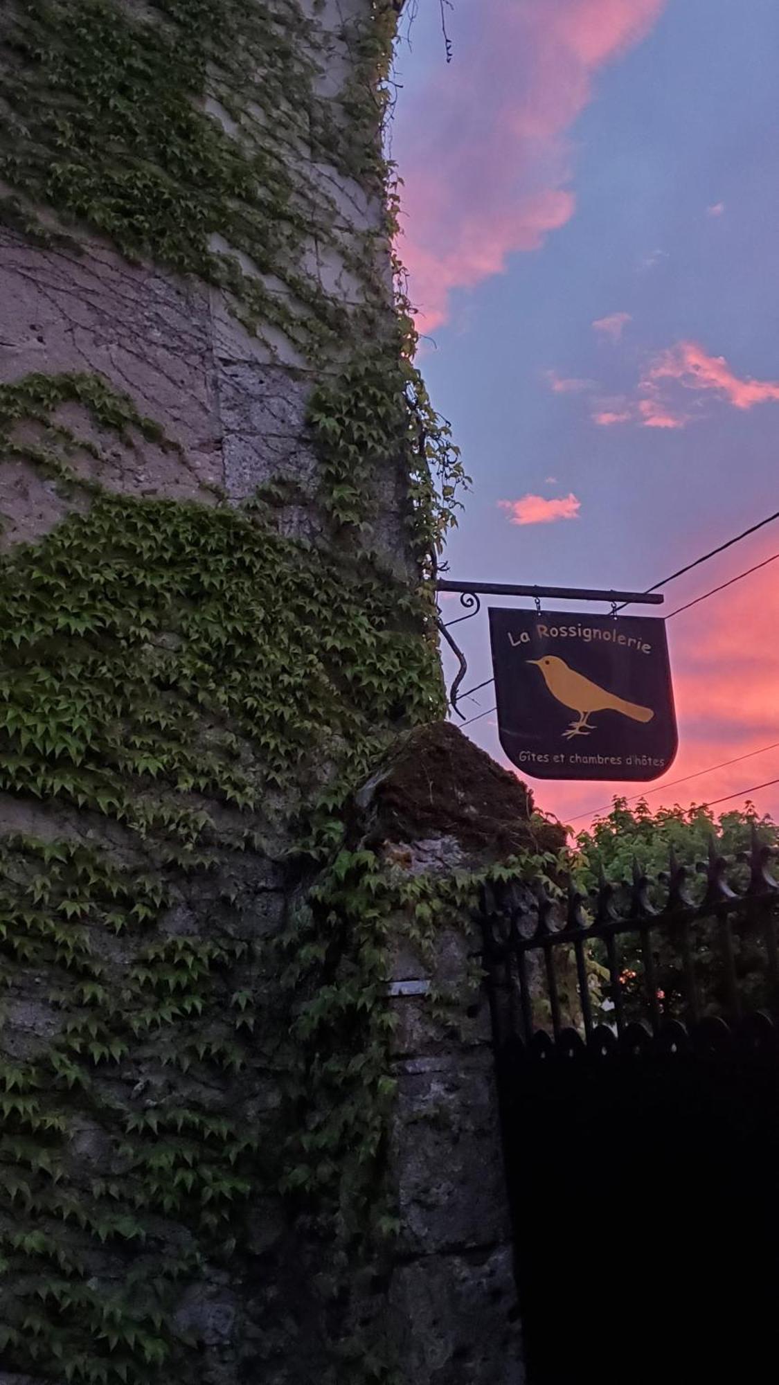 La Rossignolerie - La Familiale Vigneronne Bed & Breakfast Chouzy-sur-Cisse Dış mekan fotoğraf