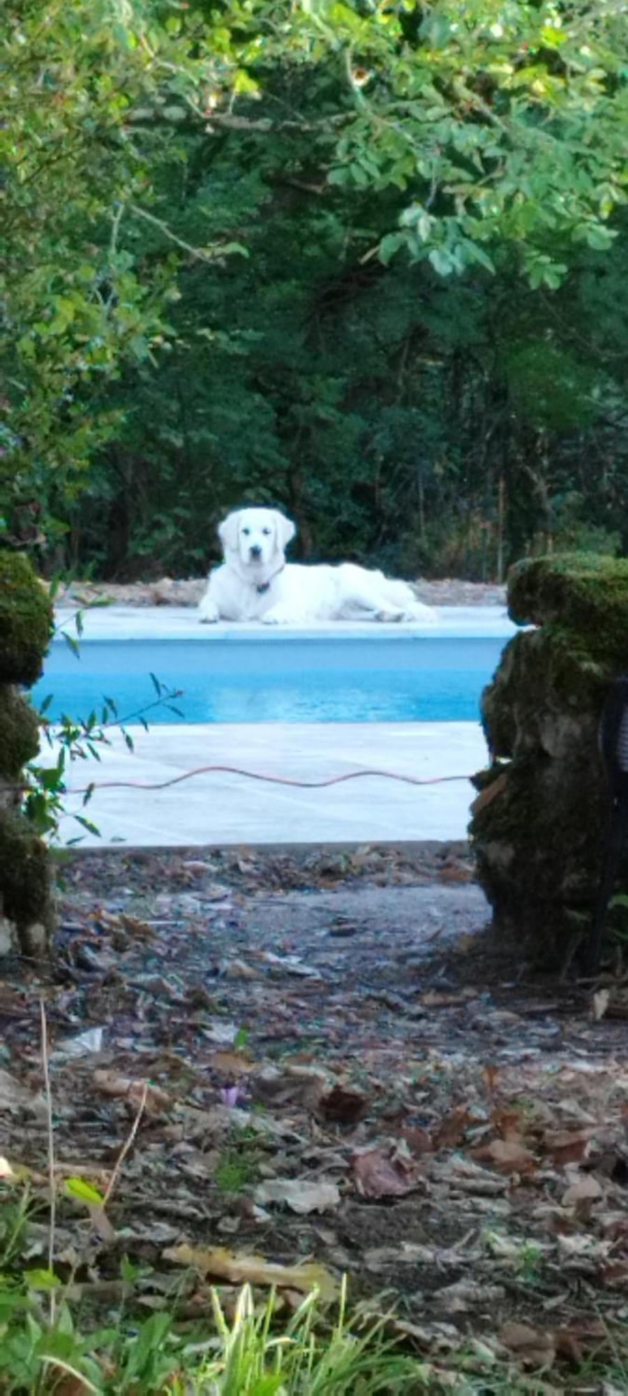 La Rossignolerie - La Familiale Vigneronne Bed & Breakfast Chouzy-sur-Cisse Dış mekan fotoğraf