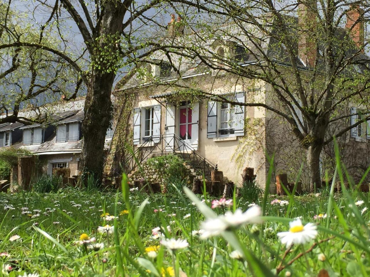 La Rossignolerie - La Familiale Vigneronne Bed & Breakfast Chouzy-sur-Cisse Dış mekan fotoğraf